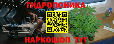 кокс Кулебаки