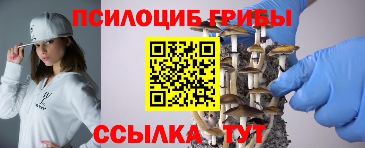 Псилоцибиновые грибы MAGIC MUSHROOMS  Вход с VPN  Дивногорск  Псилоцибиновые грибы GOLDEN TEACHER 